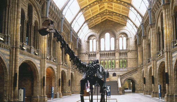 The British Museum's Natural History Museum