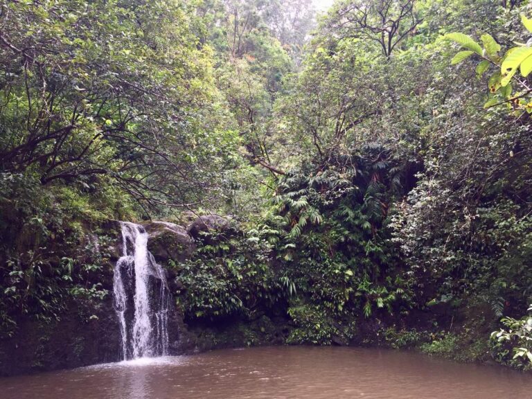 Discover Haipua'ena Falls: Take the Plunge!